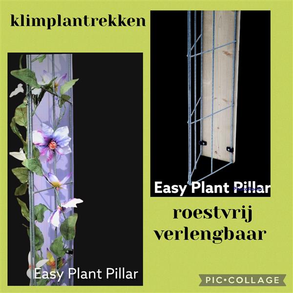 Grote foto klimplanten langs palen en muren leiden. tuin en terras tuinhout en palen