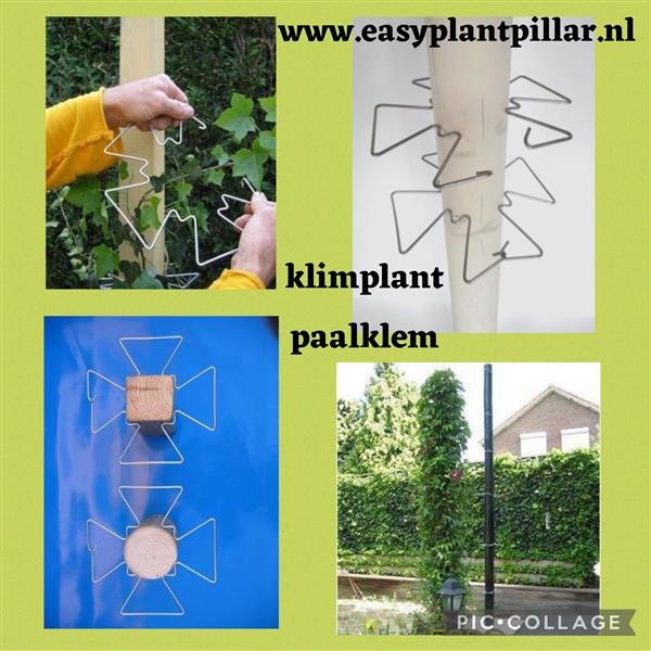 Grote foto klimplanten langs palen en muren leiden. tuin en terras tuinhout en palen