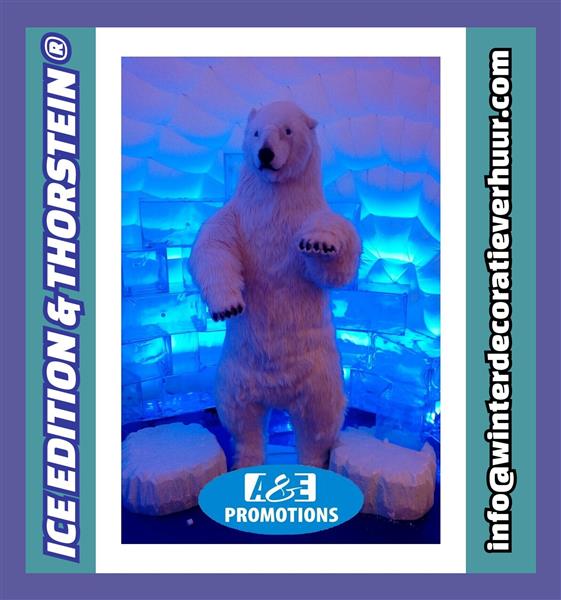 Grote foto siberische sneeuwpanter huren ijsbar genk diversen overige diversen