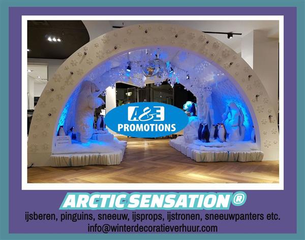 Grote foto zuidpool pinguin props verhuur ijsschotsen luik diensten en vakmensen entertainment