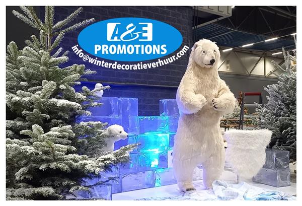 Grote foto zuidpool pinguin props verhuur ijsschotsen luik diensten en vakmensen entertainment