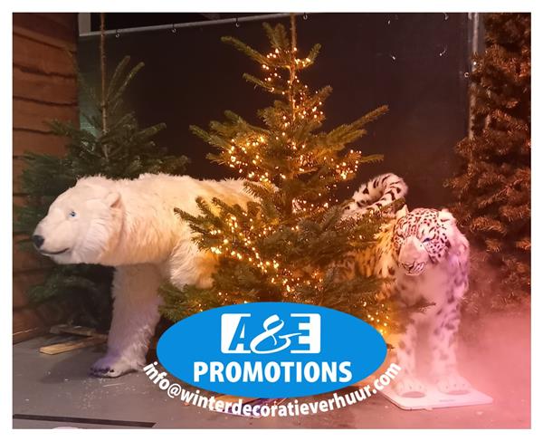 Grote foto verhuur wintersprookje bos props haarlem schagen diversen versiering