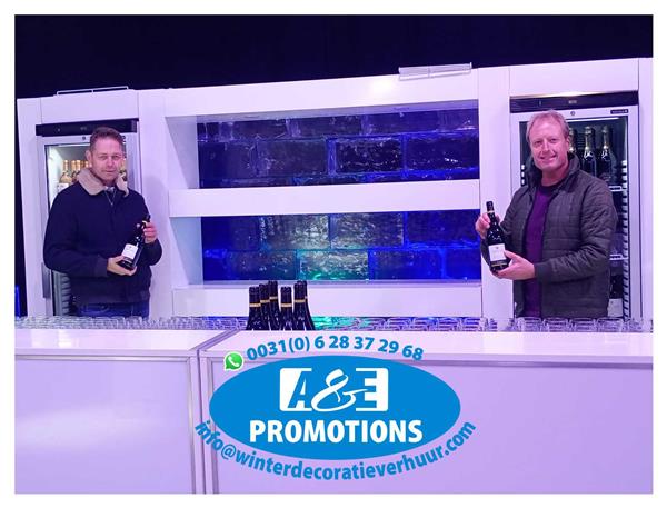 Grote foto oostende knokke huur ijsbeer xl frozen ijsprops diensten en vakmensen feesten