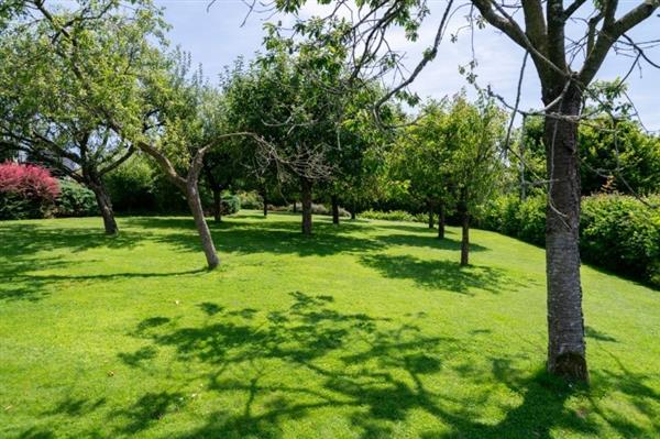 Grote foto ardennen 5575 gedinne prachtige woning zwembad. huizen en kamers vrijstaand