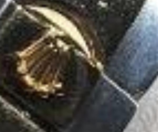 Grote foto rolex sieraden tassen en uiterlijk ringen voor hem