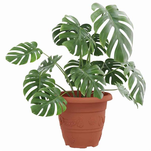 Grote foto vidaxl ronde bloempot 6 pcs baksteenrood 22 x 18 cm kunststof tuin en terras overige tuin en terras