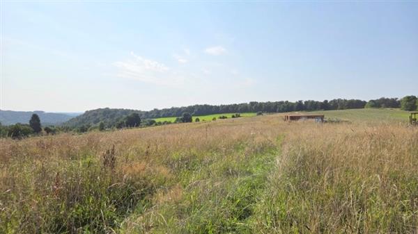 Grote foto les hayons grote grond in de semois regio. huizen en kamers grondkavels