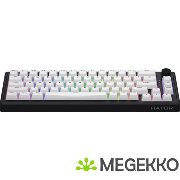 Grote foto hator skyfall 65 mag ultra draadloos hall effect toetsenbord computers en software toetsenborden