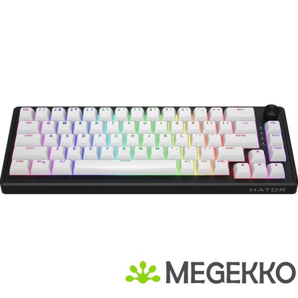 Grote foto hator skyfall 65 mag ultra draadloos hall effect toetsenbord computers en software toetsenborden