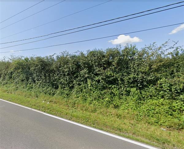 Grote foto beauwelz chimay bouwgrond 10a 75ca. huizen en kamers grondkavels