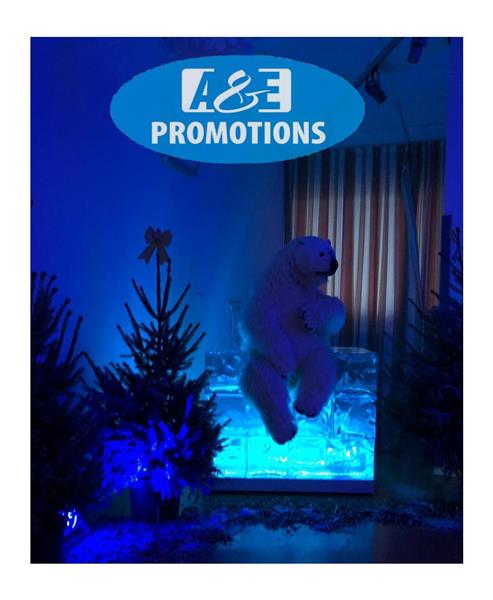 Grote foto pinguin ijssetting verhuur brussel leuven diversen overige