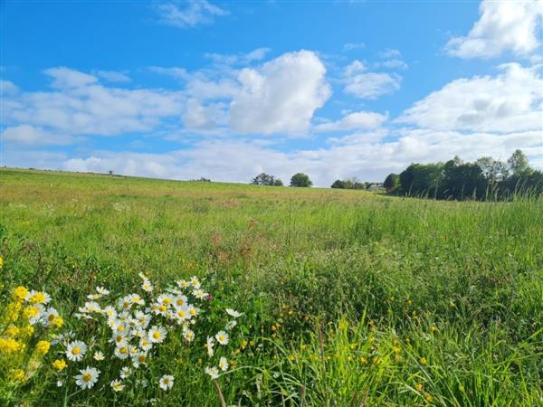 Grote foto ardennen 6970 ortheuville grond 21a 06ca. huizen en kamers grondkavels