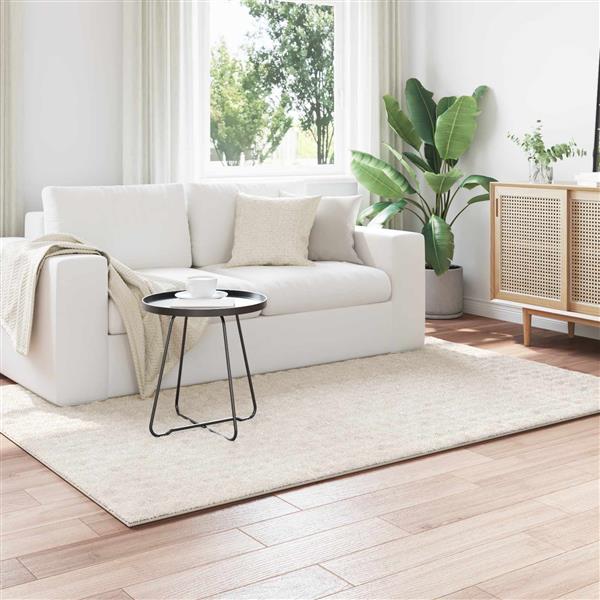 Grote foto vidaxl vloerkleden rechthoekig sirolo cr me 170 x 120 cm polyester huis en inrichting vloerbedekking en kleden