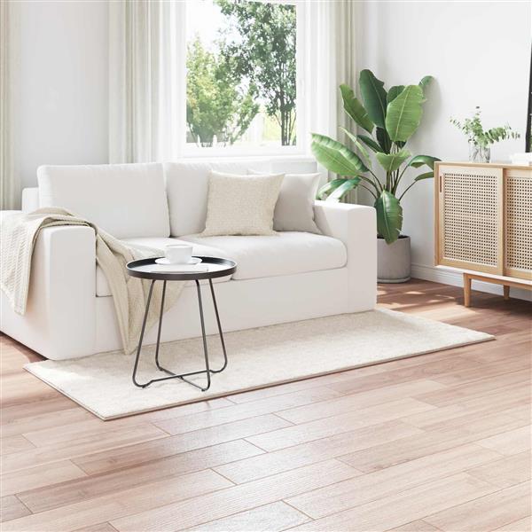 Grote foto vidaxl vloerkleden rechthoekig sirolo cr me 150 x 80 cm polyester huis en inrichting vloerbedekking en kleden