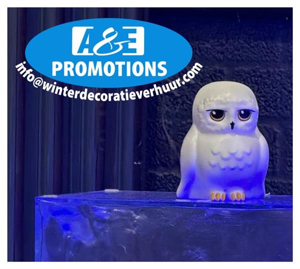 Grote foto studio props winter lapland huren aalsmeer diversen kerst