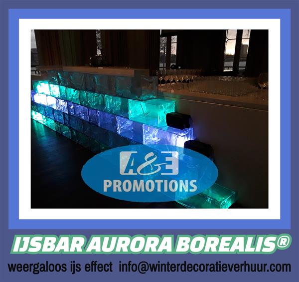 Grote foto winterfeest aankleding amsterdam aalsmeer ijsbeer diensten en vakmensen feesten