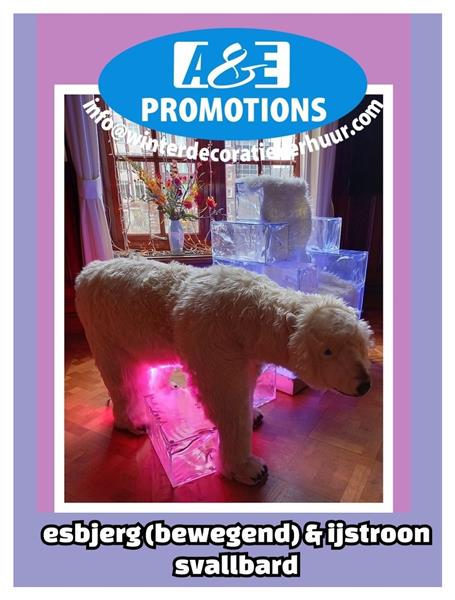 Grote foto verhuur winterwonderland aankleding nijverdal diversen overige