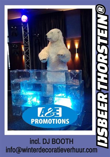 Grote foto ijsbeer bewegend huren brugge genk diensten en vakmensen entertainment