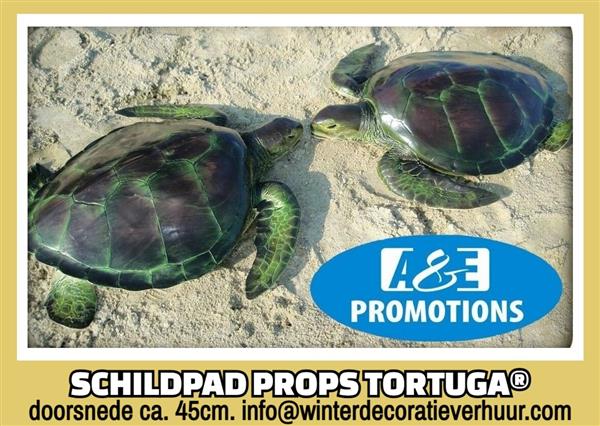 Grote foto cutthroat island piraat schatkist verhuur knokke diversen overige