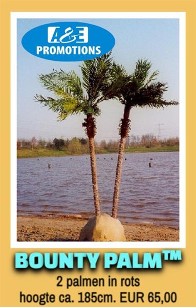 Grote foto zeerover attributen verhuur schatkist palmbomen diversen overige diversen