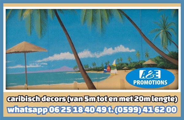 Grote foto palmboom decoratie verhuur strandligstoelen knokke diversen overige diversen