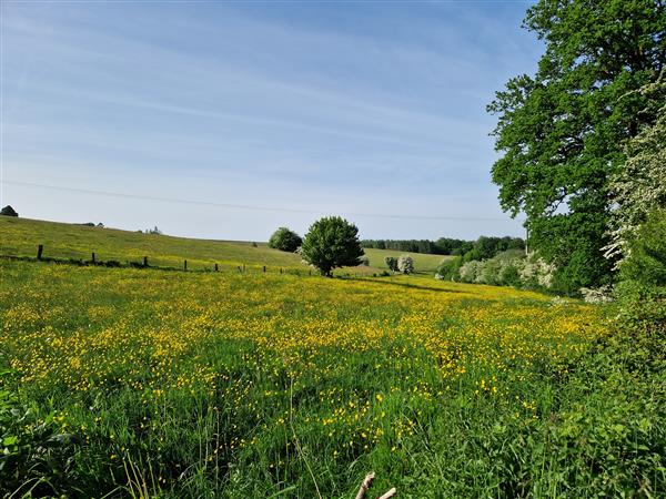 Grote foto 6830 les hayons semois prachtig gelegen grond. huizen en kamers grondkavels