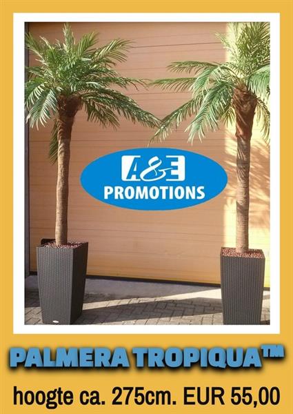 Grote foto strand sport spel verhuur beachvolleybal etc sport en fitness overige sport en fitness