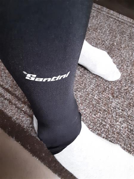 Grote foto koerskleding kleding heren sportkleding