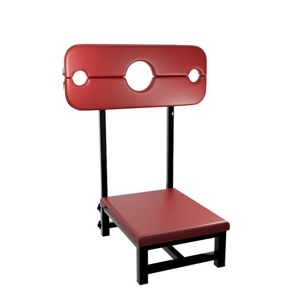 Grote foto nieuwe bondage banken en schavot in een erotiek sm toys