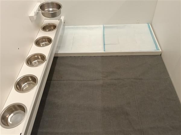 Grote foto werpbox dieren en toebehoren toebehoren