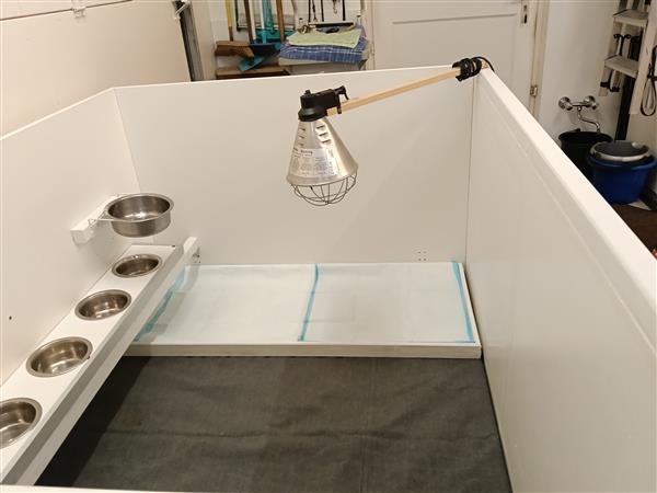 Grote foto werpbox dieren en toebehoren toebehoren