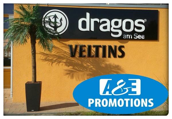 Grote foto verhuur springkussens tropical palmen verhuur diversen overige diversen