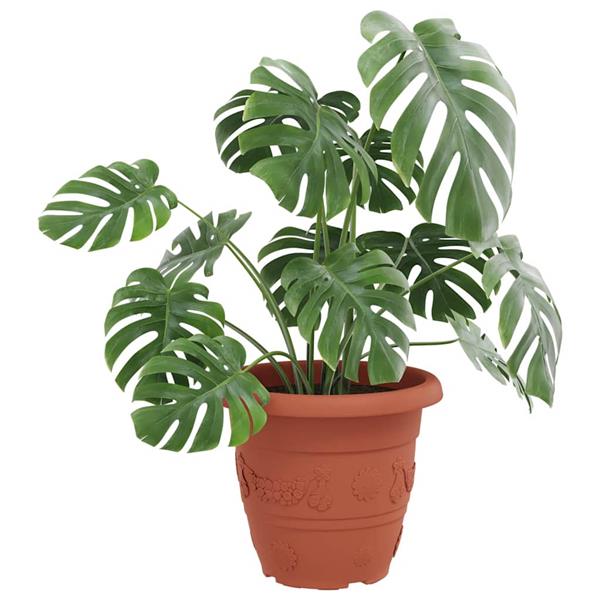 Grote foto vidaxl ronde bloempot 6 pcs baksteenrood 39 x 32 cm kunststof tuin en terras overige tuin en terras