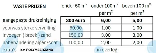 Grote foto reinigen oprit of dak tuin en terras hogendrukreinigers