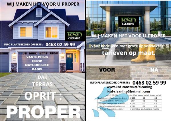 Grote foto reinigen oprit of dak tuin en terras hogendrukreinigers