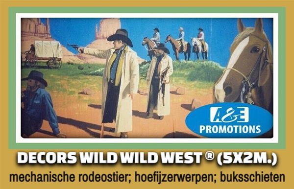 Grote foto wilde westen spel verhuur hoefijzer werpspel etc. diversen overige