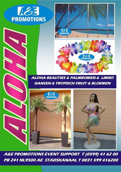 Grote foto zomerfeest props verhuur ligstoelen palmbomen etc. diensten en vakmensen feesten