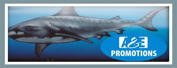 Grote foto schatkist pirates of the caribbean groningen diversen overige diversen