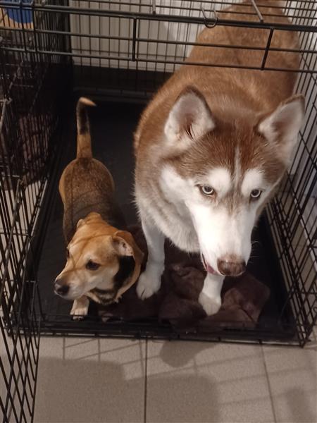 Grote foto man zoekt vrouw om gelukkig te worden contacten en berichten man zoekt vrouw