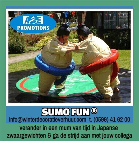 Grote foto meerkamp spel verhuur sumo pakken etc. diensten en vakmensen bedrijfsuitjes