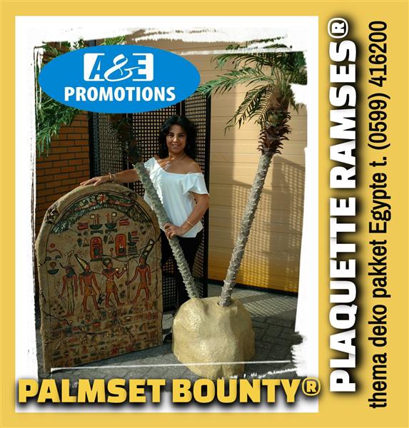 Grote foto huur strand spelen tropical aankleding limburg diversen overige diversen