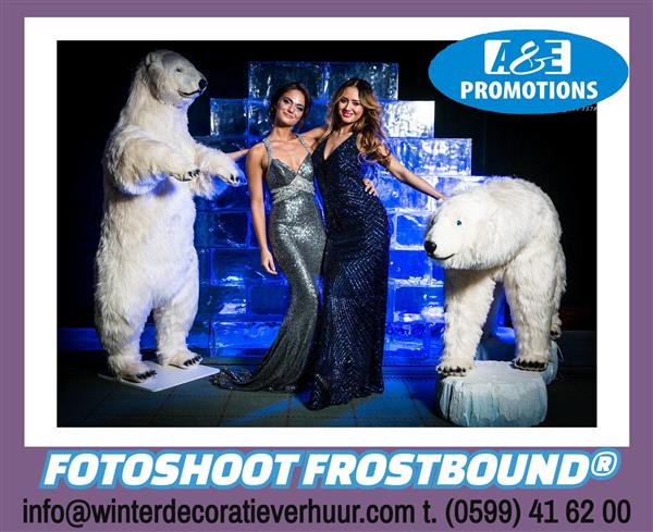 Grote foto verhuur ijsmuur fotowand aalsmeer haarlem diversen overige diversen