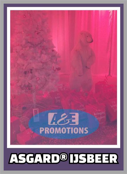 Grote foto top winterfeest items ijsmuur verhuur gent diversen overige diversen