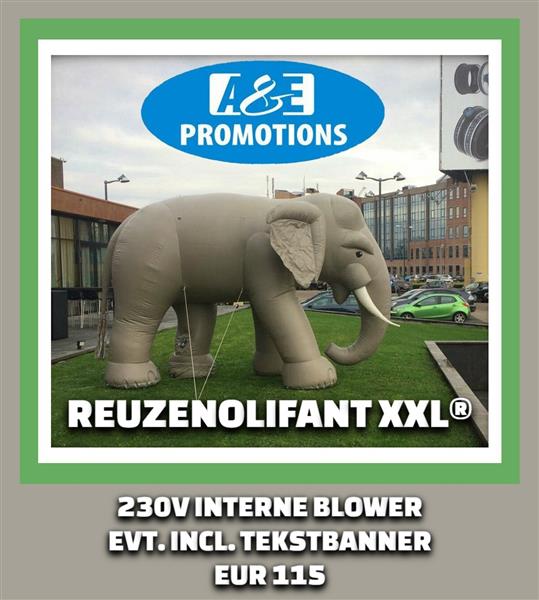 Grote foto haai design attractie volleybalveld verhuur emmen diversen overige