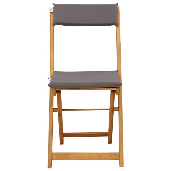 Grote foto vidaxl bistrostoelen voor buiten 2 pcs donkergrijs 40 x 53 x 80 cm tuin en terras tuinmeubelen