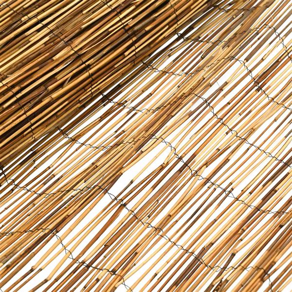 Grote foto vidaxl tuinhek ge carboniseerd 600 x 100 cm riet tuin en terras hekken en schuttingen