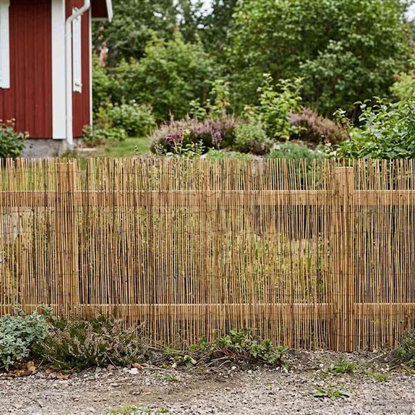 Grote foto vidaxl tuinhek ge carboniseerd 600 x 100 cm riet tuin en terras hekken en schuttingen