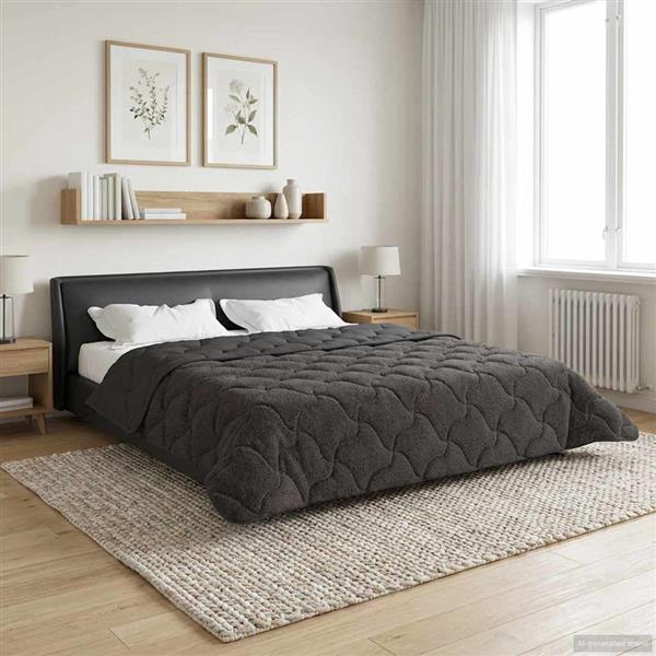 Grote foto vidaxl winter dekbed gekwilt antraciet 220 x 260 cm huis en inrichting bedden