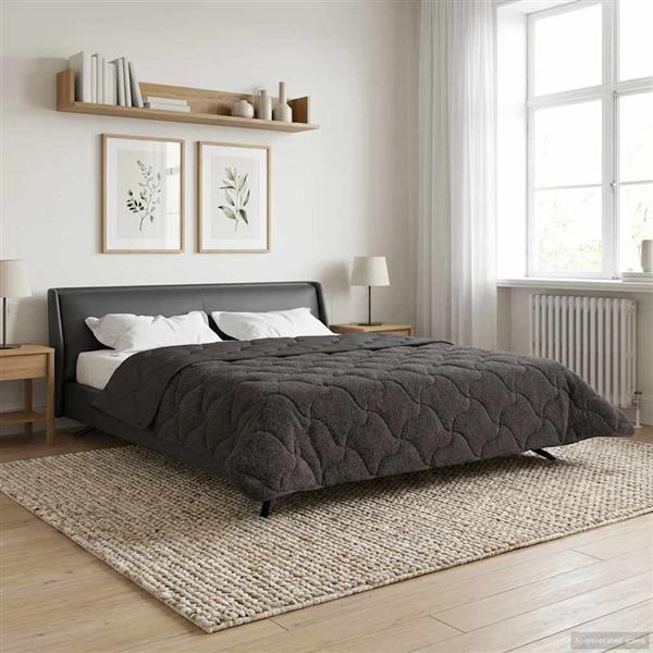 Grote foto vidaxl winter dekbed gekwilt antraciet 200 x 220 cm huis en inrichting bedden