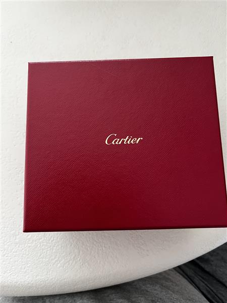 Grote foto cartier santos l full steel sieraden tassen en uiterlijk juwelen voor hem